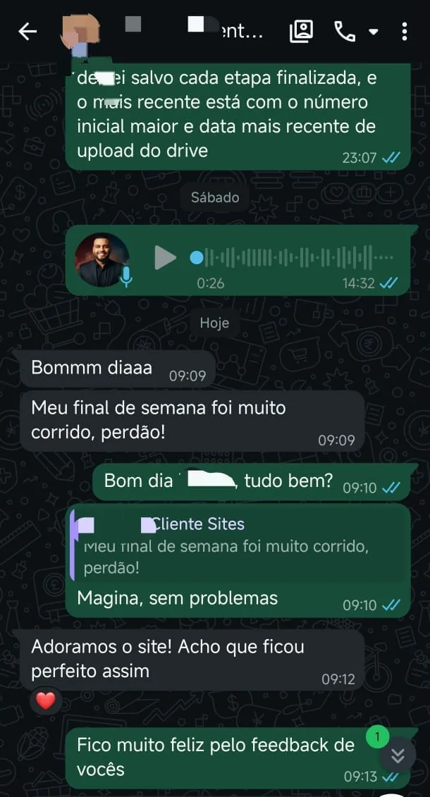 Conversa no WhatsApp em que a enfermeira Micheli Leal agradece pela dedicação na construção do site